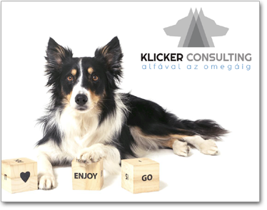 menuikon vallalati rendezvenyek