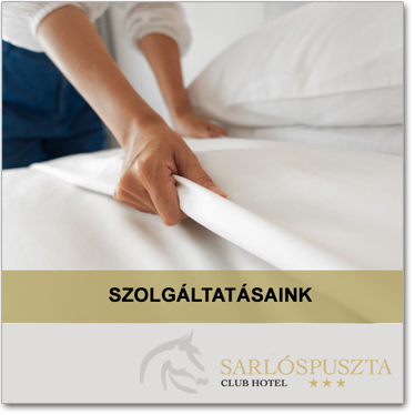 menuikon szolgaltatasaink