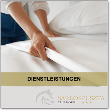 menuikon szolgaltatasaink