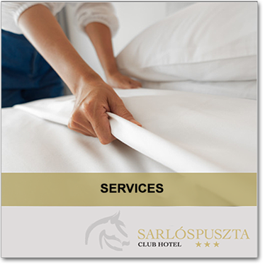 menuikon szolgaltatasaink