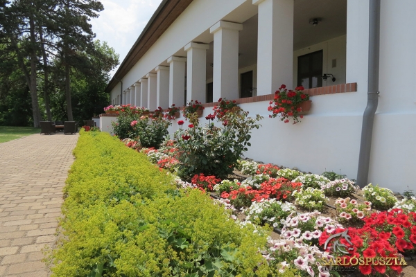 sarlospuszta-0136A88387F-CAFF-E58F-178B-C5EF13CFD5E3.jpg