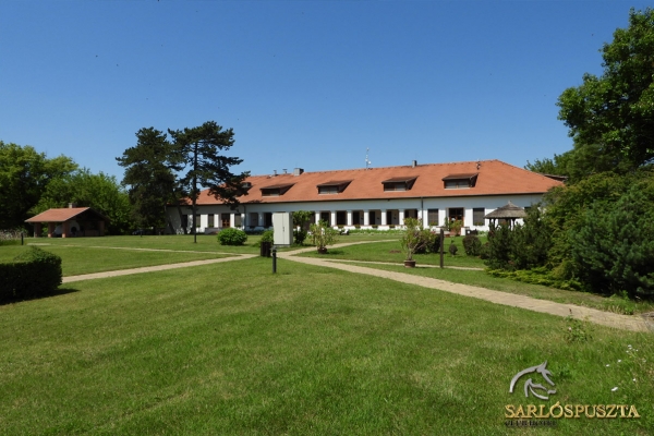 sarlospuszta-016FD576971-ABD8-01B6-FE7F-95E2DFCBB47B.jpg