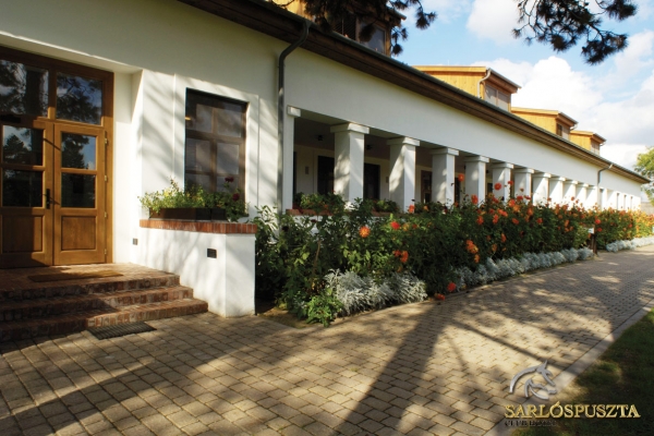 sarlospuszta-017E55B98BE-C39E-70A1-1A30-21945FB4C496.jpg