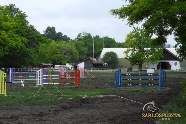 sarlospuszta-200BC819048-5183-2C6A-11FB-929477820713.jpg