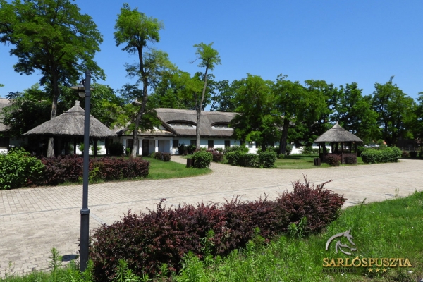 sarlospuszta-05844669C6A-2FDE-4033-22DC-9CEA8103276A.jpg
