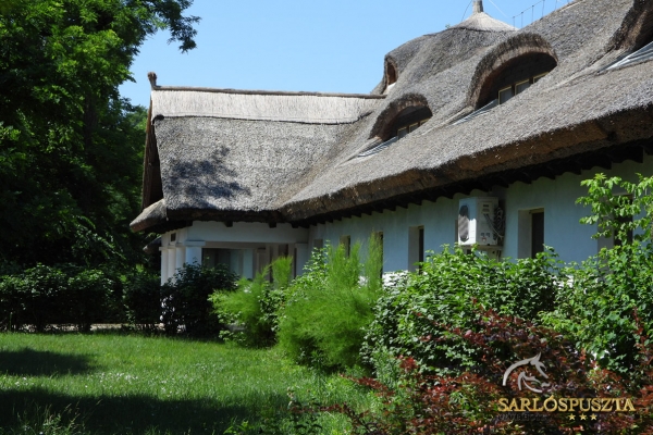 sarlospuszta-059C51CE59D-1739-861B-1215-7091D7EA4A00.jpg