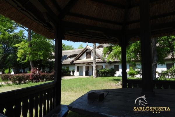 sarlospuszta-0608E05211E-D4FD-0001-C149-4C49CA24BDC3.jpg