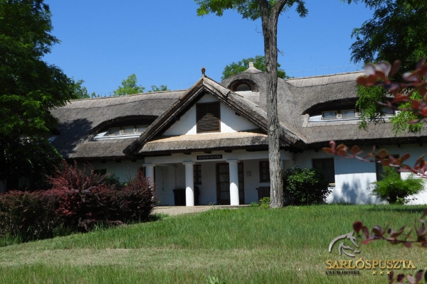 sarlospuszta-0610668EBA2-C488-775D-2E9C-A4349C7CBC21.jpg