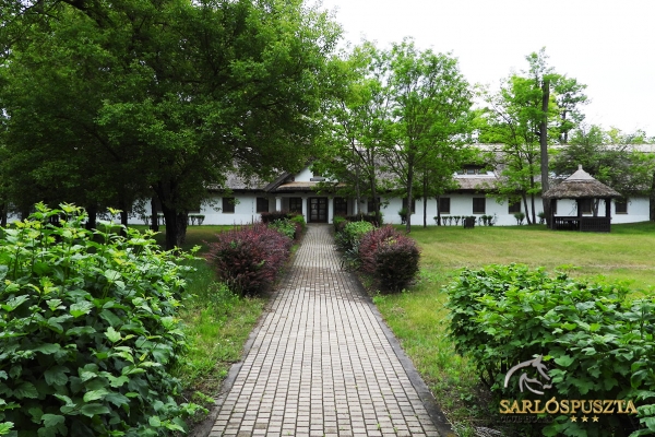 sarlospuszta-064FF44B85E-7EDF-B978-DC24-A85A80688C02.jpg