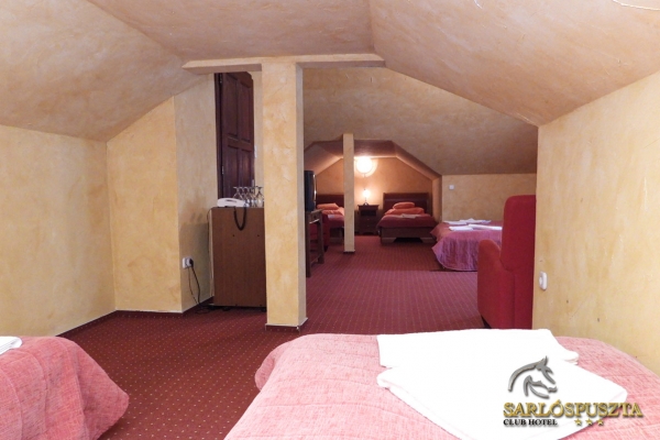sarlospuszta-126AFCE0B90-7941-691C-984C-F2E70896050A.jpg