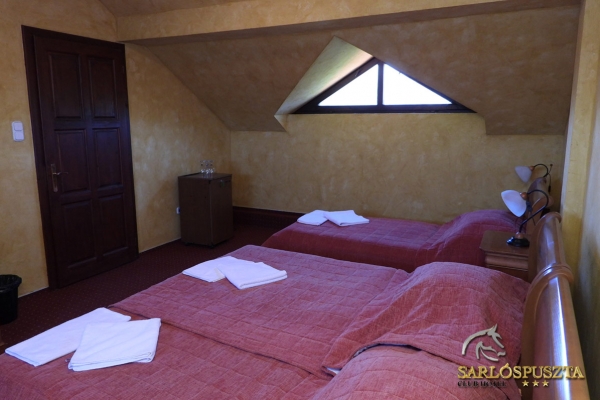 sarlospuszta-132D8DFC56C-1C4C-929D-0BE7-DD064CE263D7.jpg