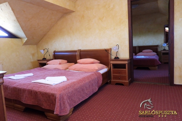 sarlospuszta-15627E9A93B-CE98-CE65-A566-F018127E15E5.jpg