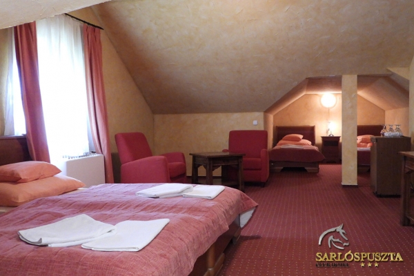 sarlospuszta-267AAC8B8C9-6910-CD55-B4B0-043C0AE73B75.jpg
