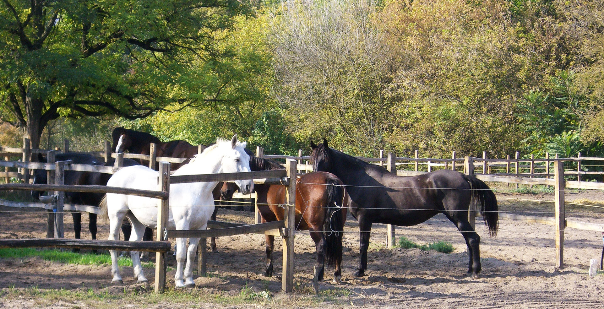 Slide #3 Slide background